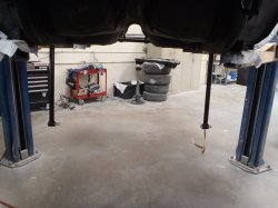 200727 80 Pontiac Trans Am (5).JPG